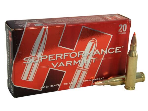 Hornady Superformance Varmint 243 Winchester Ammo 58 Grain Hornady V-Max Polymer Tip Box of 500